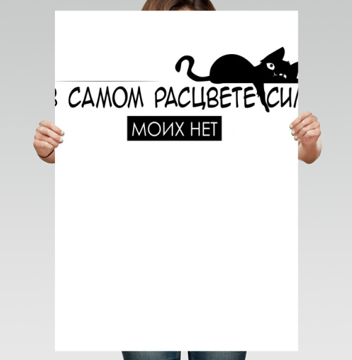 Фотография футболки Ироничная надпись с черным котом о силе и усталости нет