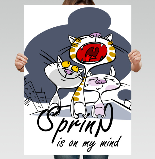 Фотография футболки Spring