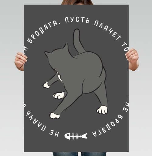Фотография футболки Ироничный стикер «Сын Бродяга — Кот» в стиле flat art
