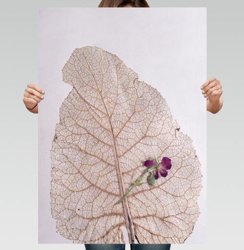 Фотография футболки Dry Leaf with Purple Flower – Засушенный лист с цветком на фоне