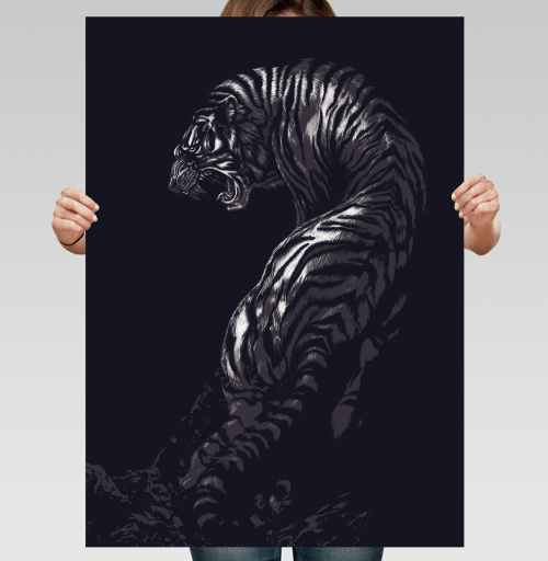 Фотография футболки Tiger