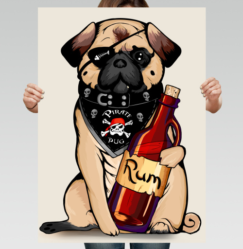 Фотография футболки Pirate pug