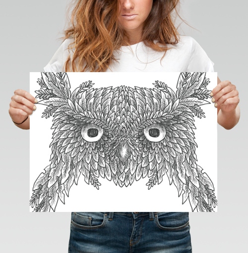 Фотография футболки OLD OWL / СТАРАЯ СОВА