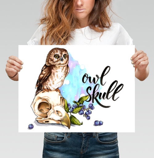 Фотография футболки Owl skull / Череп совы