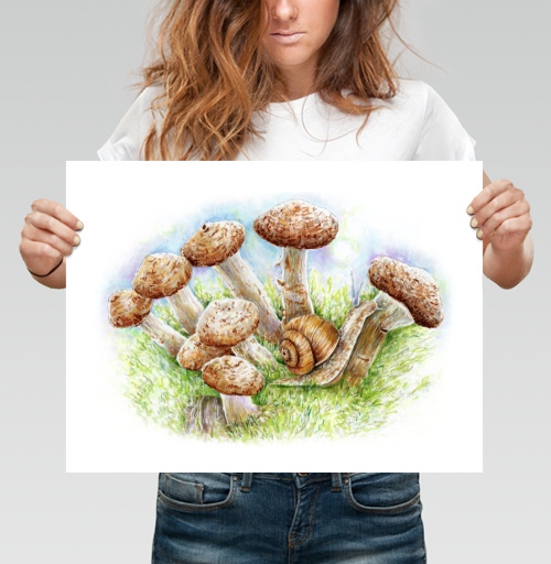 Фотография футболки Улитка в опятах