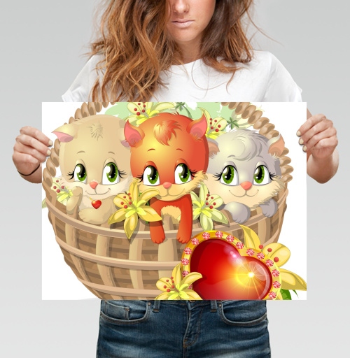 Фотография футболки Киски в корзинке