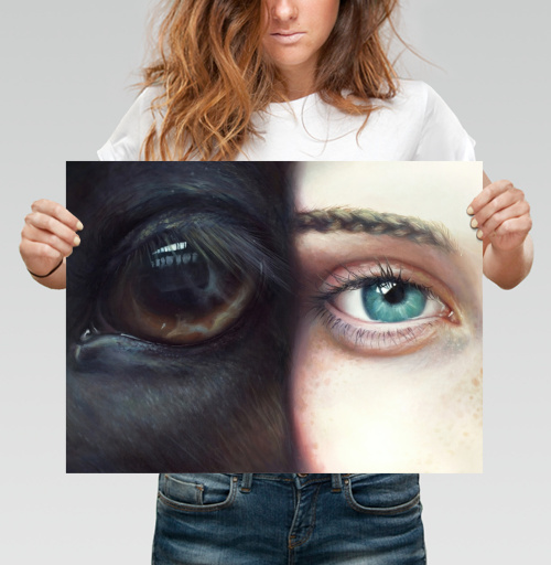 Фотография футболки Хармони