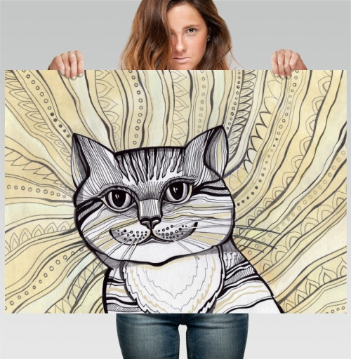 Фотография футболки Кот