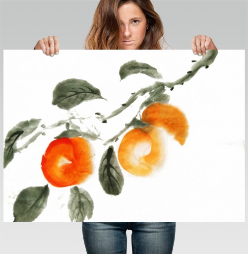 Фотография футболки Ветка хурмы