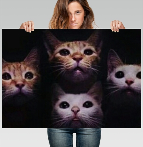 Фотография футболки Кошачая рапсодия