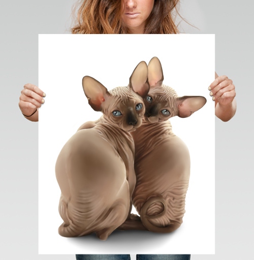 Фотография футболки Мы как котики- обиделись...