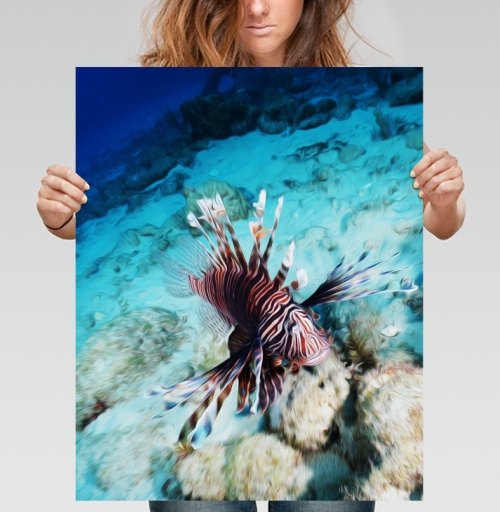 Фотография футболки Крылатка