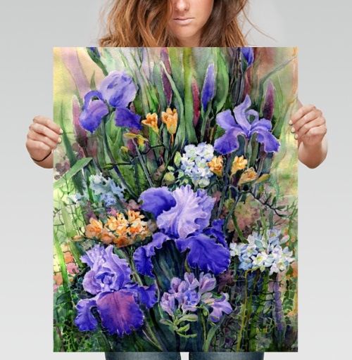Фотография футболки Ирисы и фрезии