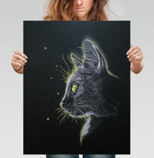 Фотография футболки Ночной котэ