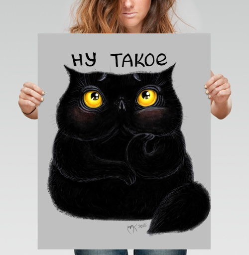 Фотография футболки Ну такой кот