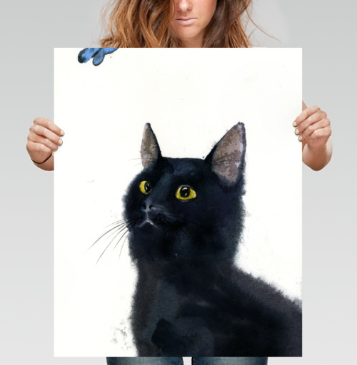 Фотография футболки Черный кот и бабочка