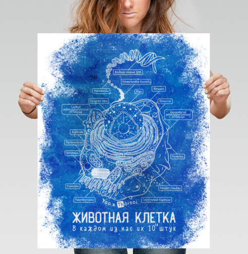 Фотография футболки Животная клетка в голубом