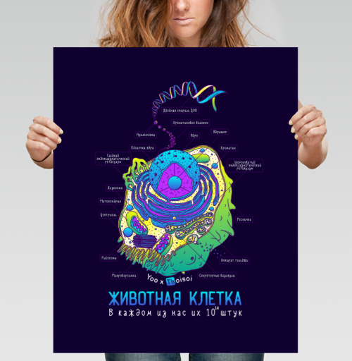 Фотография футболки Животная клетка в цвете