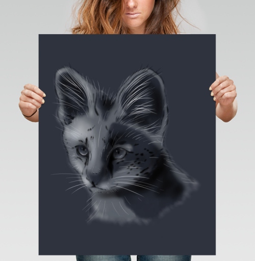 Фотография футболки Дикий кот