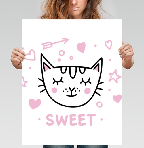 Фотография футболки Кот с розовыми щечками милый и нежный SWEET