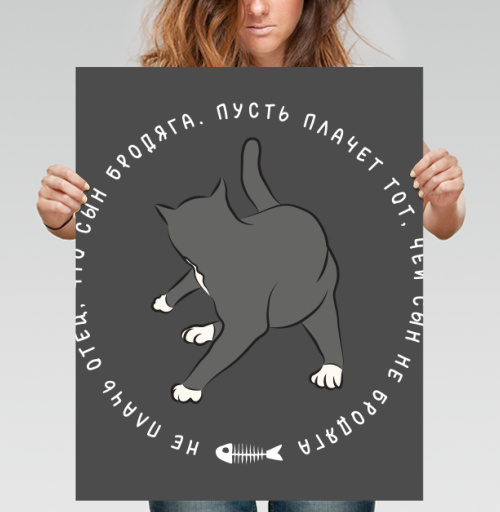 Фотография футболки Ироничный стикер «Сын Бродяга — Кот» в стиле flat art