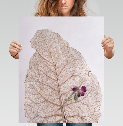 Фотография футболки Dry Leaf with Purple Flower – Засушенный лист с цветком на фоне