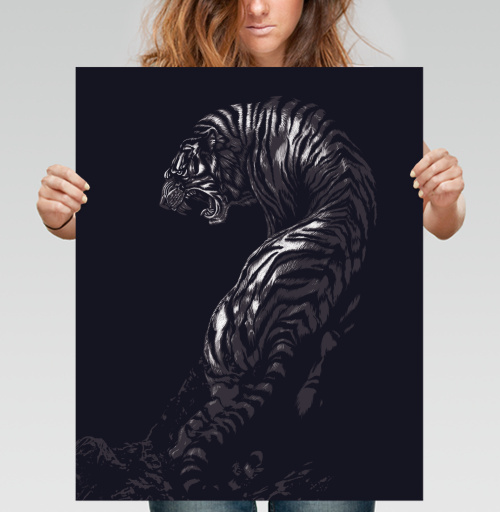 Фотография футболки Tiger
