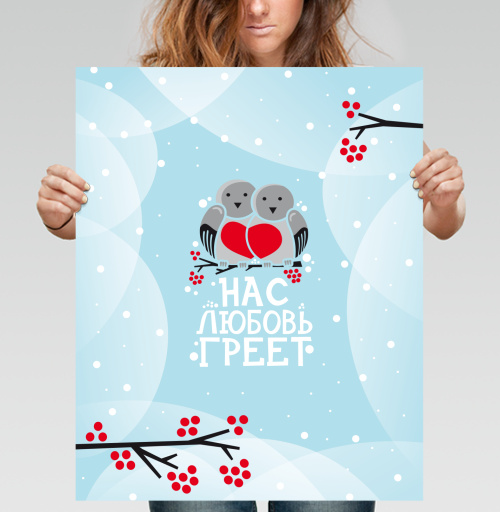 Фотография футболки Снегири