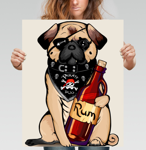 Фотография футболки Pirate pug