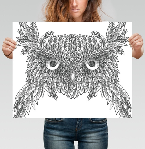 Фотография футболки OLD OWL / СТАРАЯ СОВА
