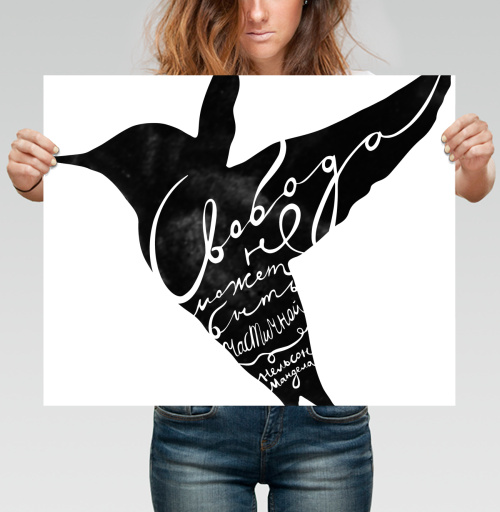Фотография футболки Freedom bird