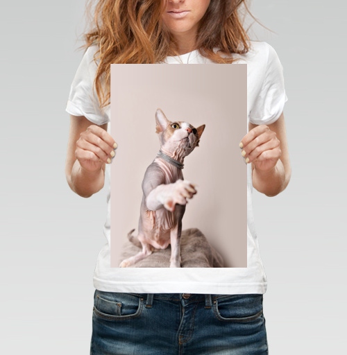Фотография футболки Кот-рэпер