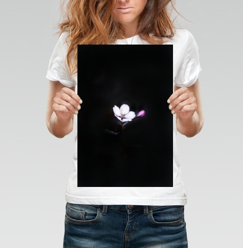 Фотография футболки Ночной цветок