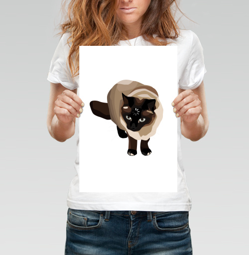 Фотография футболки Сиамский кот загрузка думающий замедление мышления