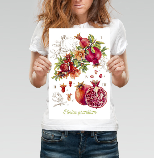 Фотография футболки Гранат. Ботаническая акварель