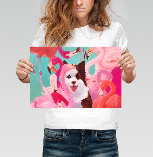 Фотография футболки Фламинго и собака