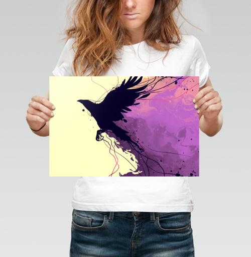 Фотография футболки Рисунок полет ворона