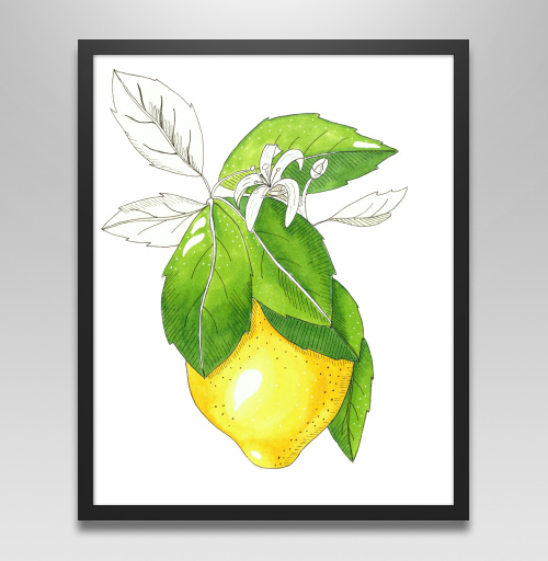 Фотография футболки Сочный лимон