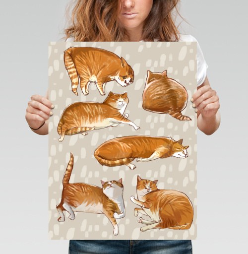 Фотография футболки Паттерн с рыжими котами