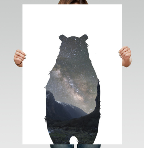 Фотография футболки Космический медведь