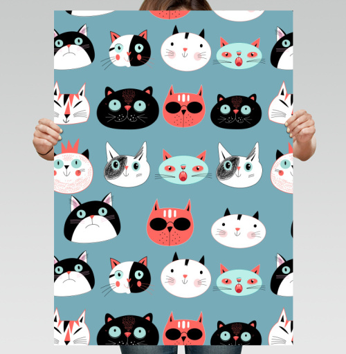 Фотография футболки Портреты котов