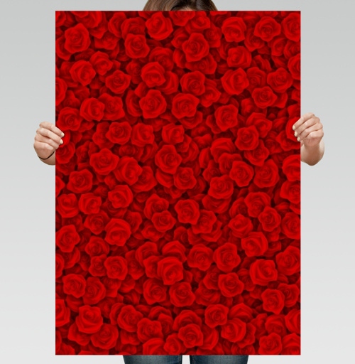 Фотография футболки Красные розы