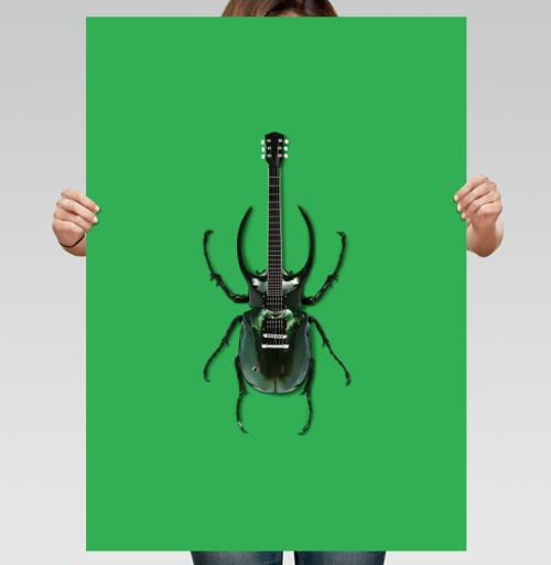 Фотография футболки Музыка насекомых