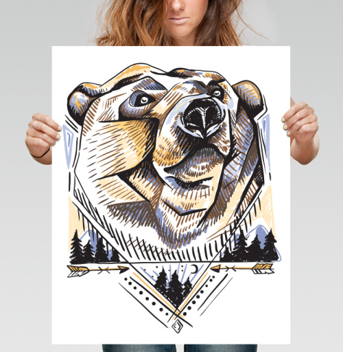 Фотография футболки Медведь медведь