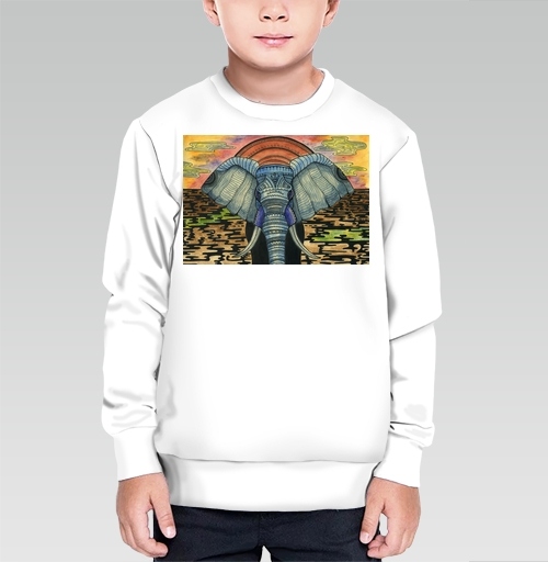 Фотография футболки Слон на закате