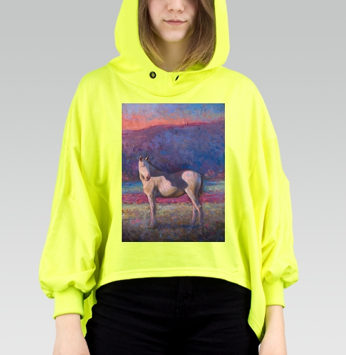 Фотография футболки Лошадь на лугу